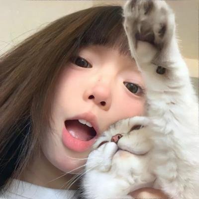 探案拍档第四季